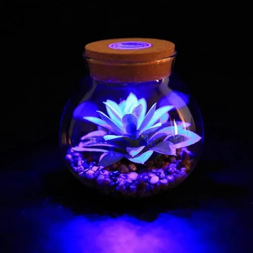 Mini Terrário com LED Colorido